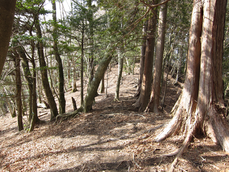 20190205hike (180)